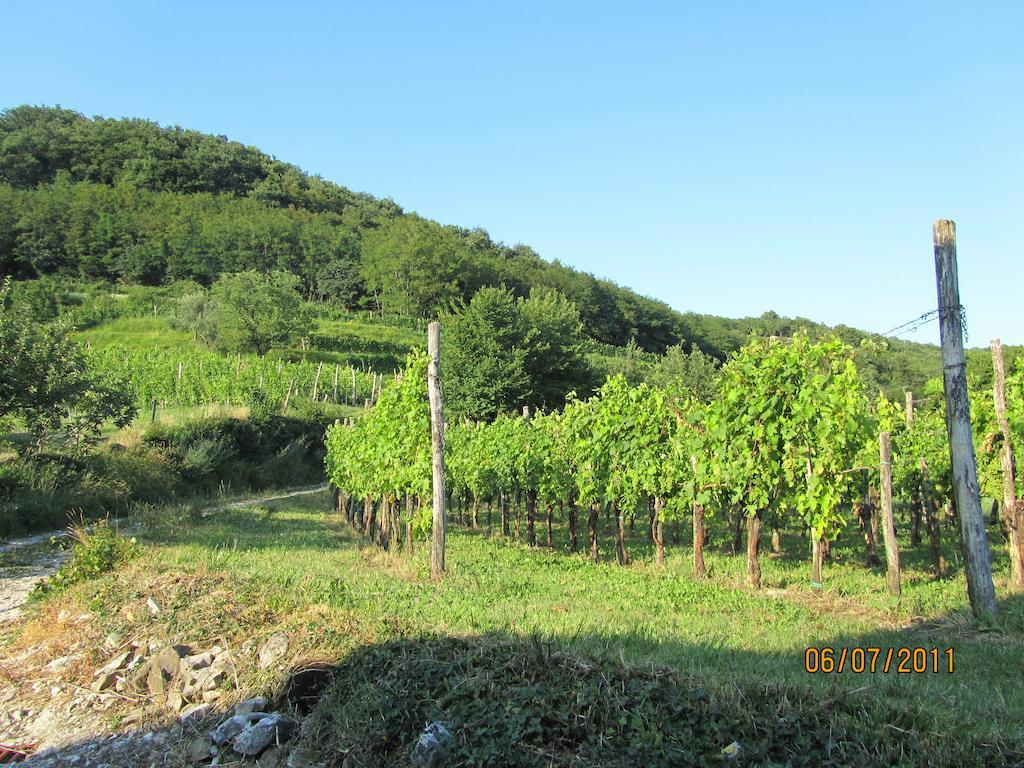 Vila Arkade Turizem Crnice Exteriér fotografie